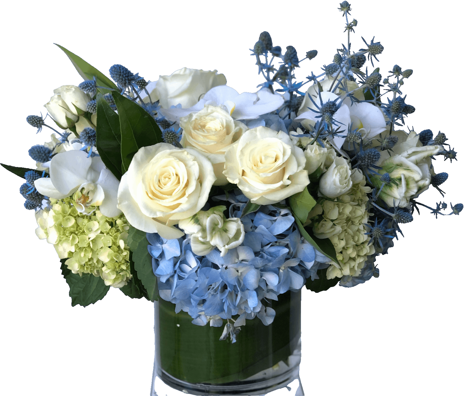 mixture of blue and white florals