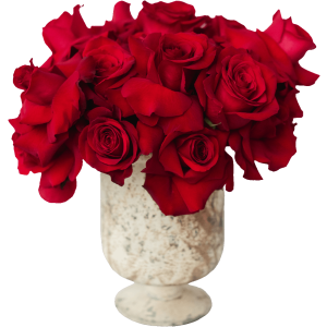 Bunch of Red Roses in white vase