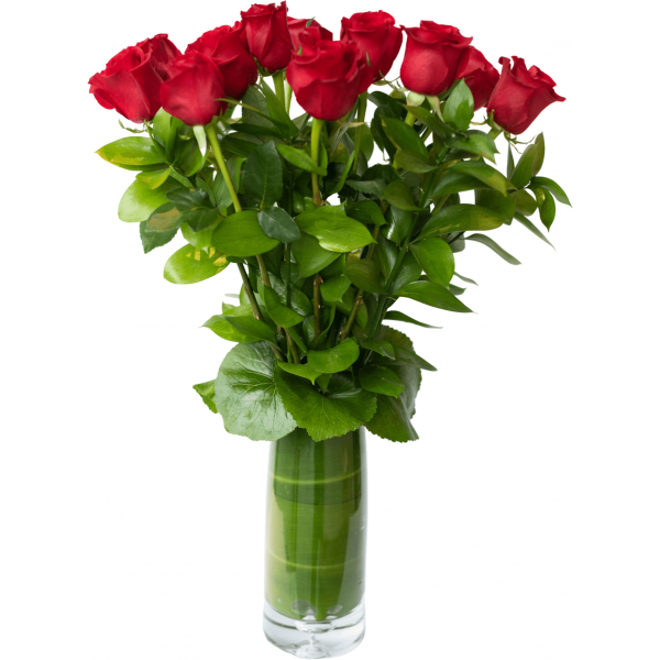 roses in Long tall vase