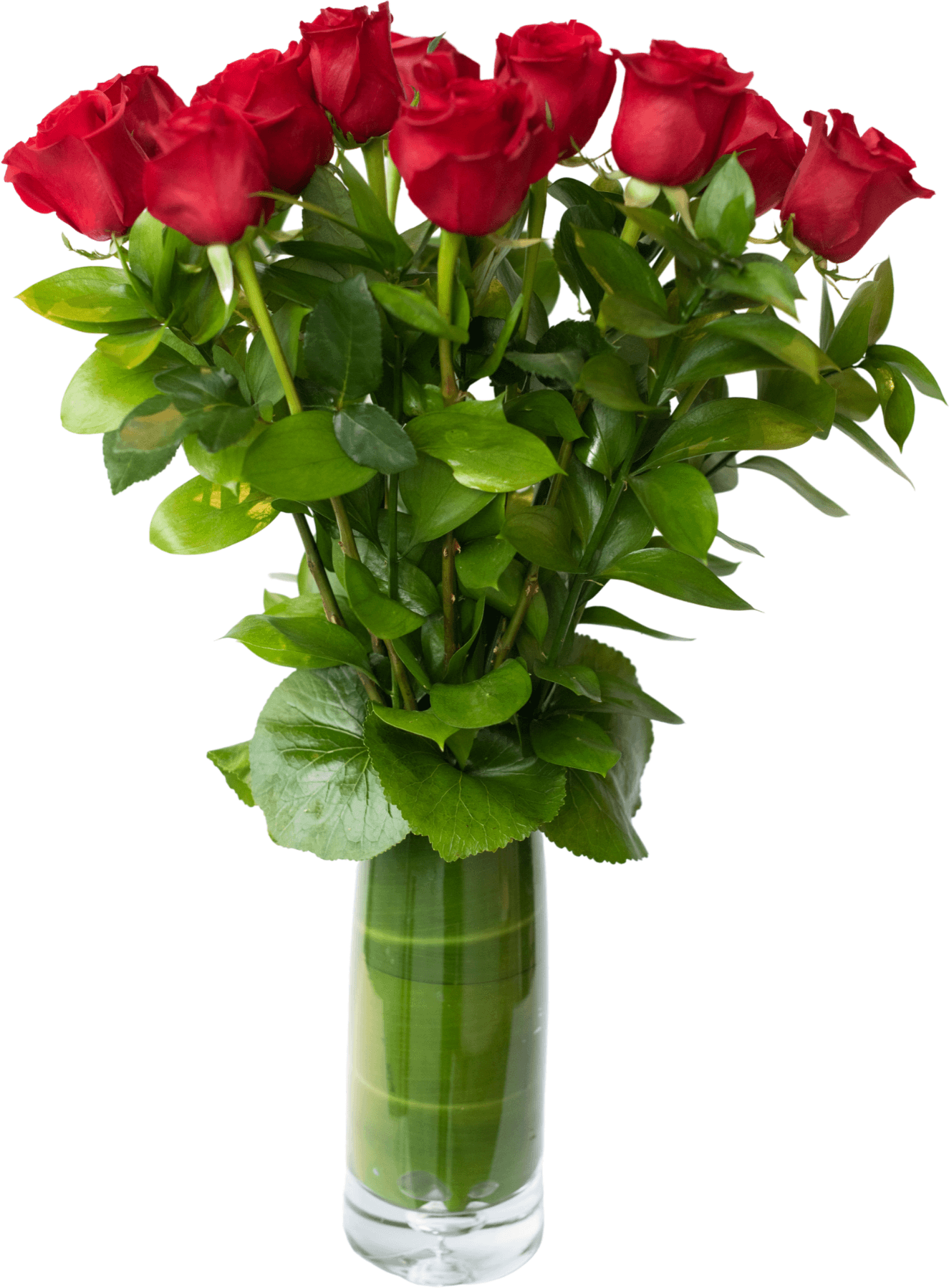 roses in Long tall vase