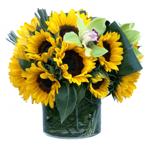 fresh bright sunflowers bouqet