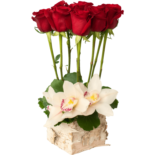 fresh red roses in a birchwood vase