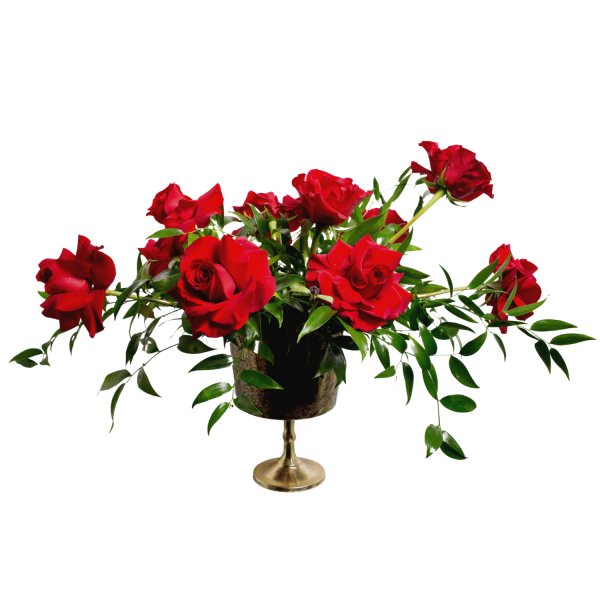 dozen red roses in gold vase