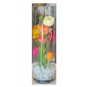 ranunculus flowers in a glass vase